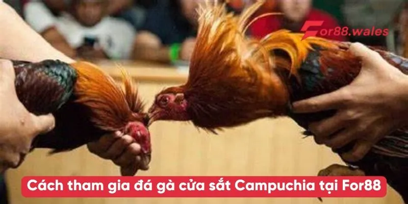 Đá Gà Cửa Sắt Campuchia – Trải Nghiệm Đỉnh Cao Tại For88 3 Cách tham gia đá gà cửa sắt Campuchia tại For88