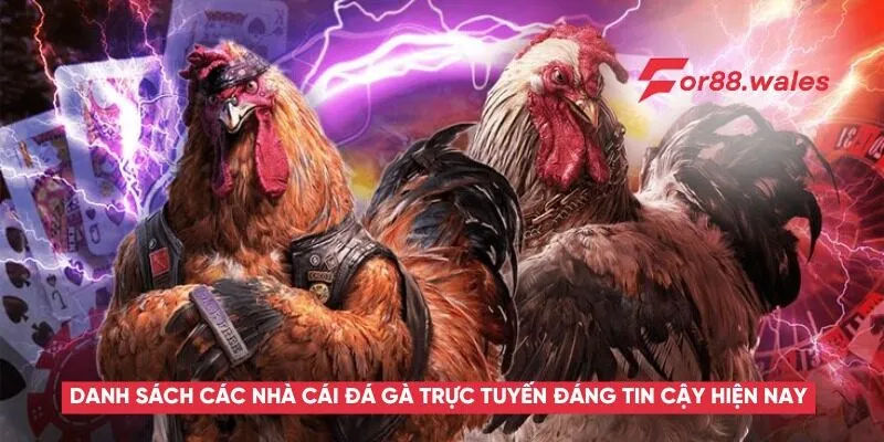 Đá Gà Online – Trải Nghiệm Môn Thể Thao Kịch Tính Và Kinh Nghiệm Cá Cược Hiệu Quả 4 Danh sách các nhà cái đá gà online đáng tin cậy hiện nay