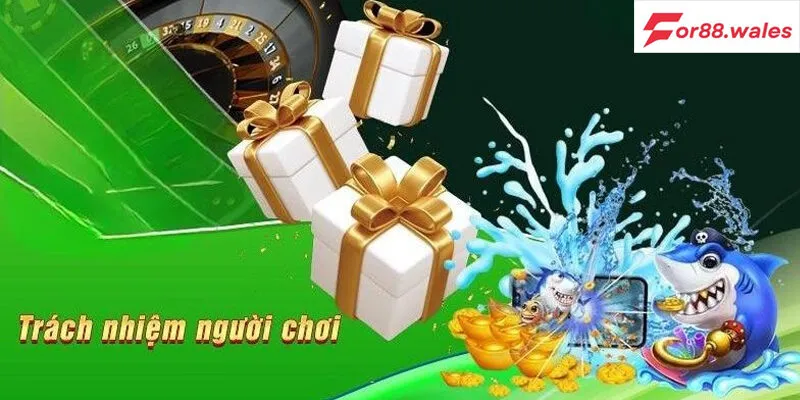 Trách Nhiệm Người Chơi 1 Tìm hiểu trách nhiệm người chơi là gì?