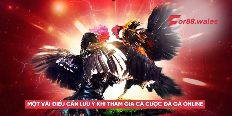 Đá Gà Online – Trải Nghiệm Môn Thể Thao Kịch Tính Và Kinh Nghiệm Cá Cược Hiệu Quả 5 Một vài điều cần lưu ý khi tham gia cá cược đá gà online