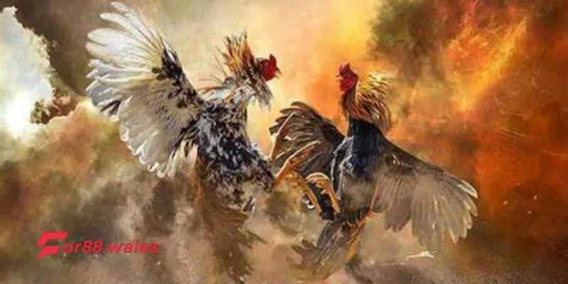 Cá Cược Đá Gà – Hướng Dẫn Chơi Và Kinh Nghiệm Thắng Lớn 3 Tại sao cá cược đá gà trực tuyến lại được ưa chuộng?